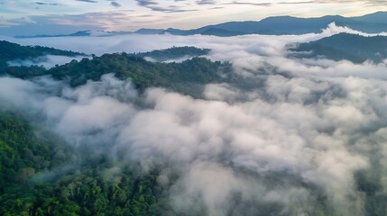 Obraz premium Generative AI : Panorama of flowing fog waves on mountain tropical rainforest
