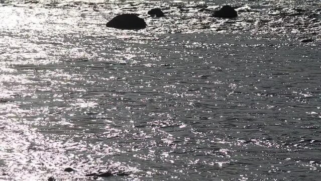 川の流れ・中流域