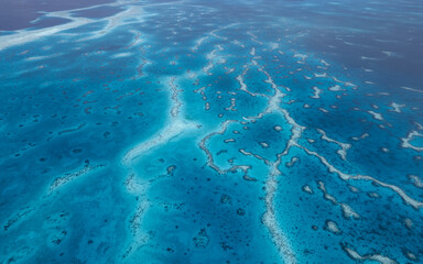 Fototapeta na wymiar Raja Ampat's Reefs