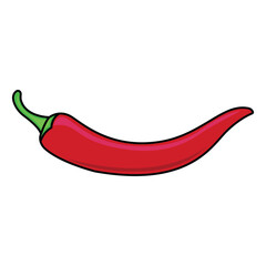 Red hot natural chili pepper pod realistic image vector illustration. Design for grocery, culinary products, seasoning and spice package, recipe web site decoration, cooking book.