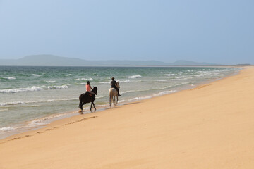 Horseback horse riding on coastline at the beach, Alentejo Portugal