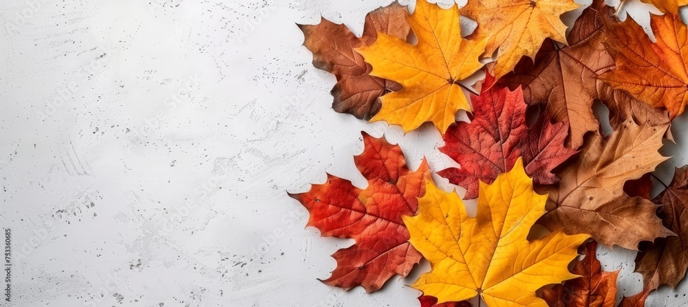 Poster beautiful white abstract autumn minimalistic background with soft textures and elegant design