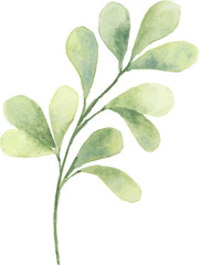 Watercolor green leaves
