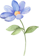 Watercolor blue flowers