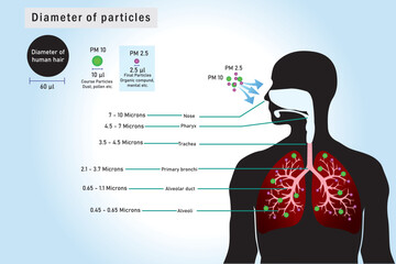 Breathing unhealthy levels of pollution from fine particulates (PM2.5) can increase the risk of health problems like heart disease, asthma, and low birth weight.