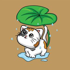 cute cat taking shelter under a leaf