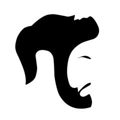 set beard and hairstyle vector illustration