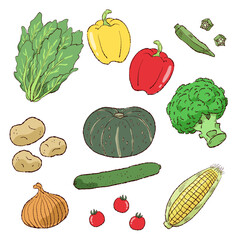 野菜イラスト素材セット
