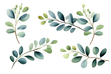 .Greenery Leaves Eucalyptus Watercolor Hand Drawn. Set of green leaf in watercolor style isolated on white background, generated by AI. 3D illustration