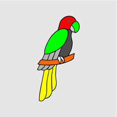 parrot on a branch
