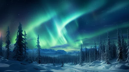 Papier Peint photo Europe du nord Northern lights over a snowy forest