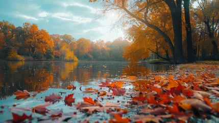 Foto op Canvas Vibrant autumn colors in park, peaceful © Anuwat
