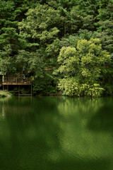 Fototapeta na wymiar Lake landscape int park, South Korea