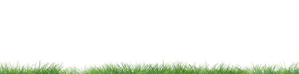 Realistic green grass isolated on trasparent background. 3d rendering