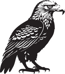 eagle on a white background