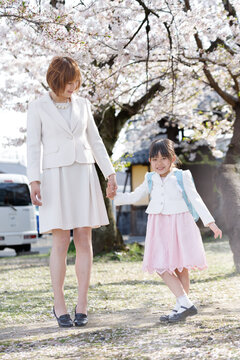 桜の下で小学生の娘とママが手をつないで入学式に向かうイメージ