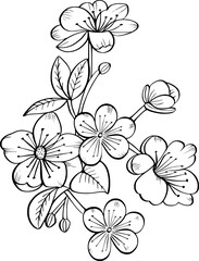 Botanical flower illustration on isolated background. Hand drawn flower for invitation design and coloring page. 
