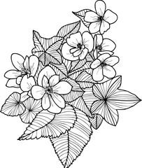 Botanical drawing of azalea flower. Hand drawn flower illustration on isolated background.