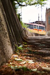 Korean narrow street