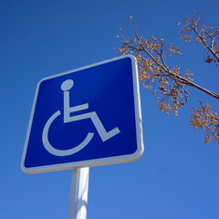 Blue Handicapped Parking Sign with Blue Sky and Tree Branch - 753415042