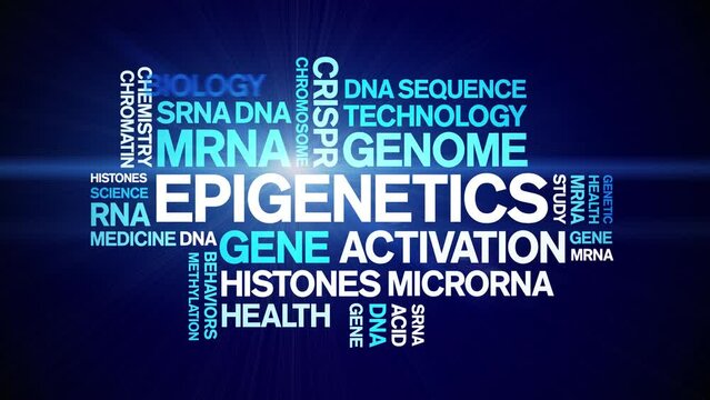 Epigenetics animated word cloud;text design animation tag kinetic typography seamless loop.