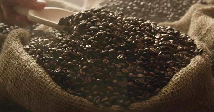 Wooden ladle picking up freshly roasted coffee beans, medium close up, falling back into coarse linen sack in warehouse, warm lighting atmosphere.