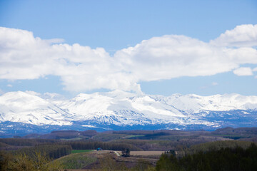 春の丘陵畑作地帯と残雪の山並み　十勝岳
