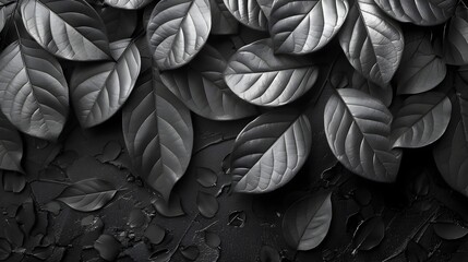 Close-up of Black and White Autumn Leaves with Abstract Background, Highlight the elegance and sophistication of nature in your designs with this