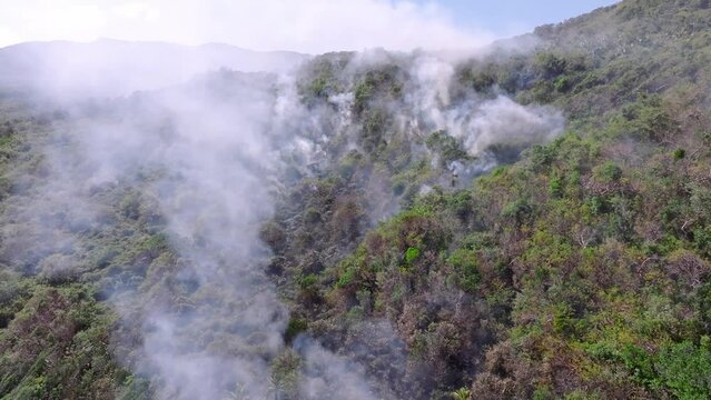 Smoke rises through treetops from forest fire, Cabo Cabron National Park. Aerial