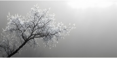 Frosty Tree in Rural China in Black and White, To convey a sense of calm and tranquility, and to showcase the beauty of winter and rural China