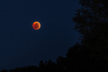 Blood Moon