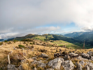 Montgomery Peak Landscape Offers Stunning Views of Akaroa Harbour from Montgomery Scenic Reserve,...