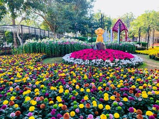 "Charming Chiang Mai Flower Festival", the charm of Chiang Mai. city ​​of beautiful flowers
