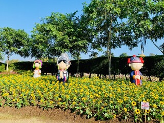 "Charming Chiang Mai Flower Festival", the charm of Chiang Mai. city ​​of beautiful flowers