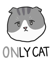 ONLY CAT NO.12