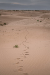 The sand hills in Ba Dan Ji Lin desert of Inner Mongolia, China