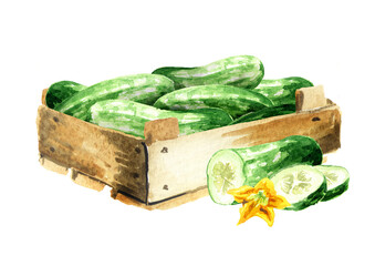Box with cucumbers, Watercolor hand drawn illustration, isolated on white background