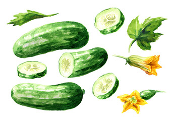 Cucumber set,  Watercolor hand drawn illustration, isolated on white background