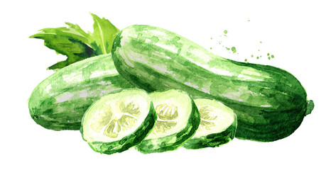 Green whole and cut Cucumber,  Watercolor hand drawn illustration, isolated on white background