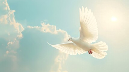 Fototapeta premium dove on the background of the blue sky, the concept of peace