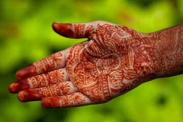 Hand adorned with intricate henna designs