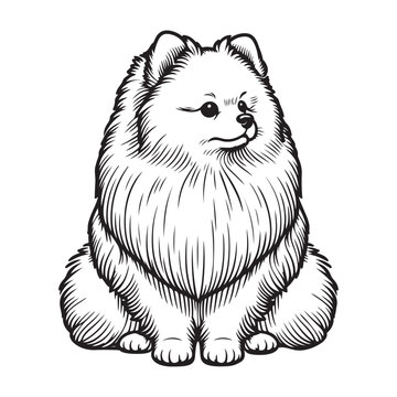 recommend clip art: Line art vector of pomeranian dog cartoon looking for somthing