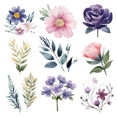 A set of Beautiful watercolor flowers and leaves clipart on a white background