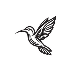 Humming bird black and white logo illustration vector 