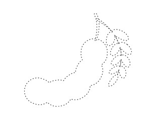 dashed tamarind outline for coloring book template, tamarind for kids illustration worksheet printable