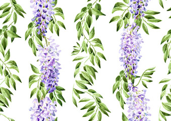 Wisteria spring flowers border. Hand drawn watercolor  seamless pattern isolated on white background