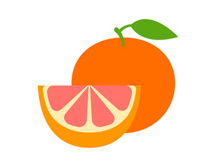 grapefruit illustration for coloring book template, grapefruit for kids worksheet printable