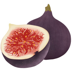Fig fruit isolated on a white background, illustration design.