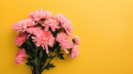 Fototapeta premium bouquet of pink chrysanthemums on yellow background.Pink chrysanthemum flowers.Happy Mothers Day Pastel Candy Colors Background. Floral mothers day