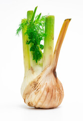 Faule Zwiebelknolle
